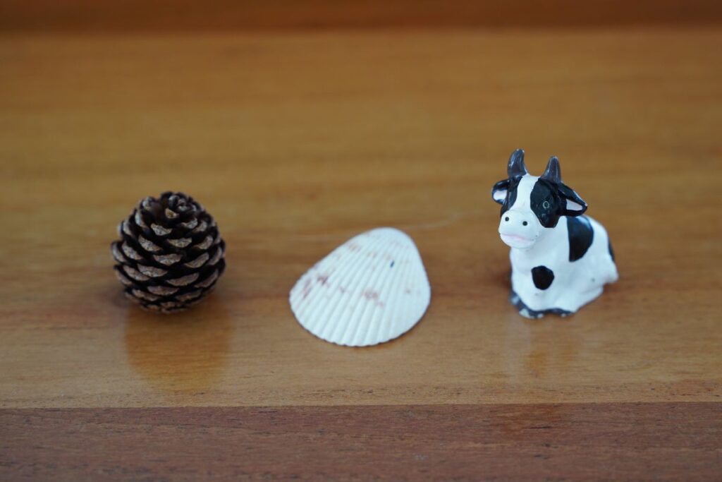 Small objects for Montessori Sound Games, including a pinecone, seashell, and toy cow, used to build phonetic awareness and early language skills.