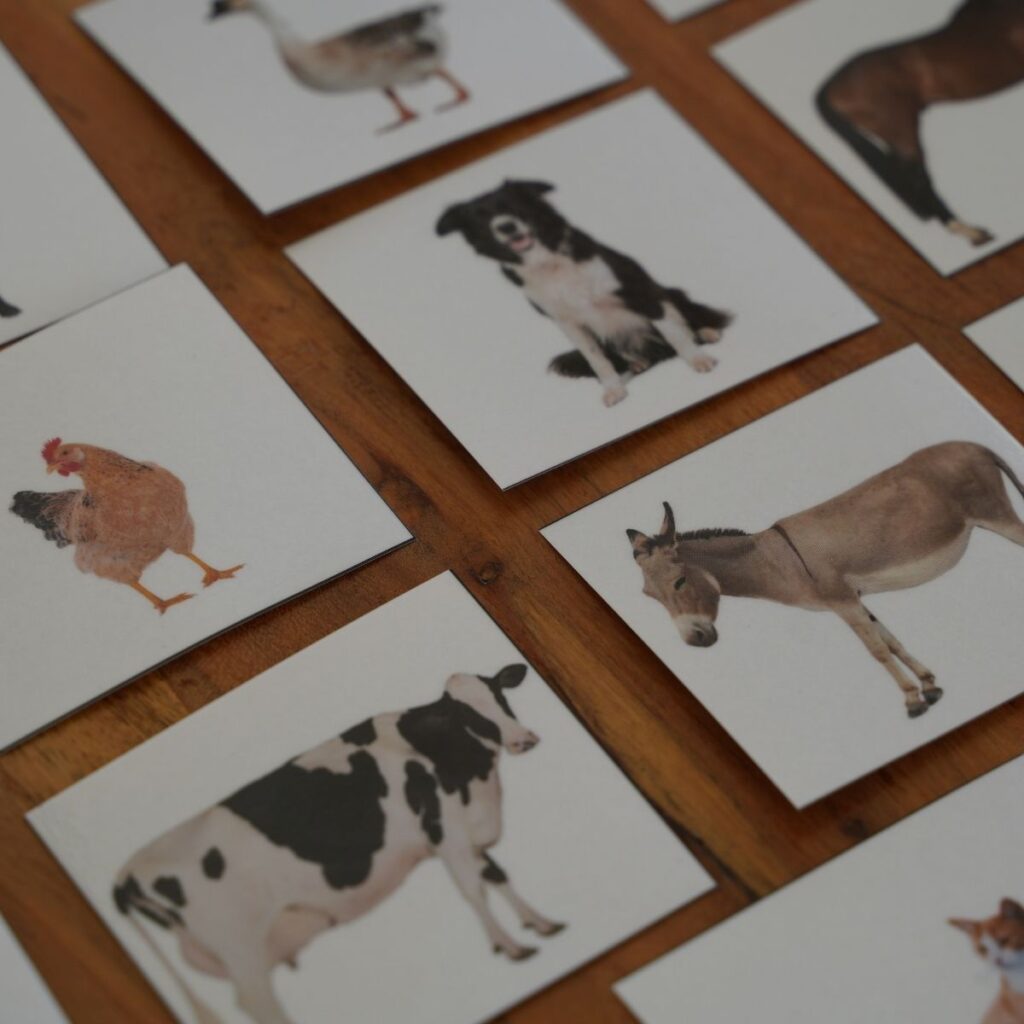 Montessori animal picture cards showing farm animals, including cow, donkey, chicken, dog, and goose