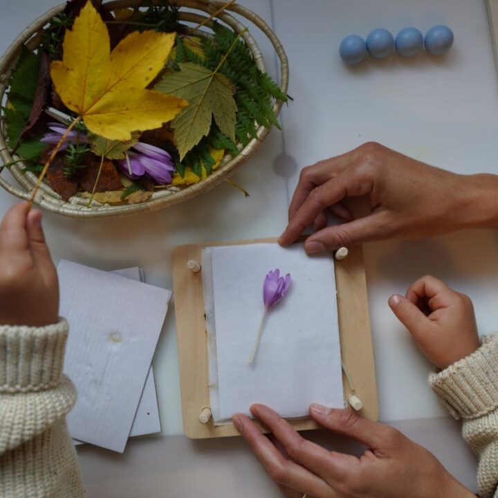 Adult and child pressing a purple flower between sheets of paper in a wooden flower press, with a basket of colorful autumn leaves and flowers nearby.