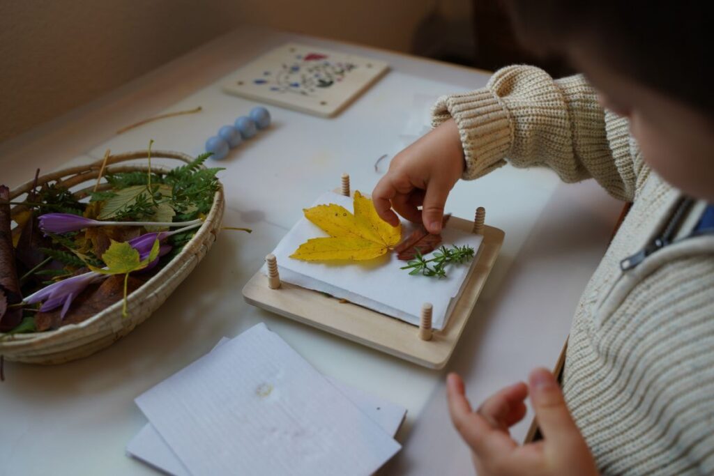 Child arranging a yellow leaf and green plant inside a wooden flower press during a Montessori nature activity.