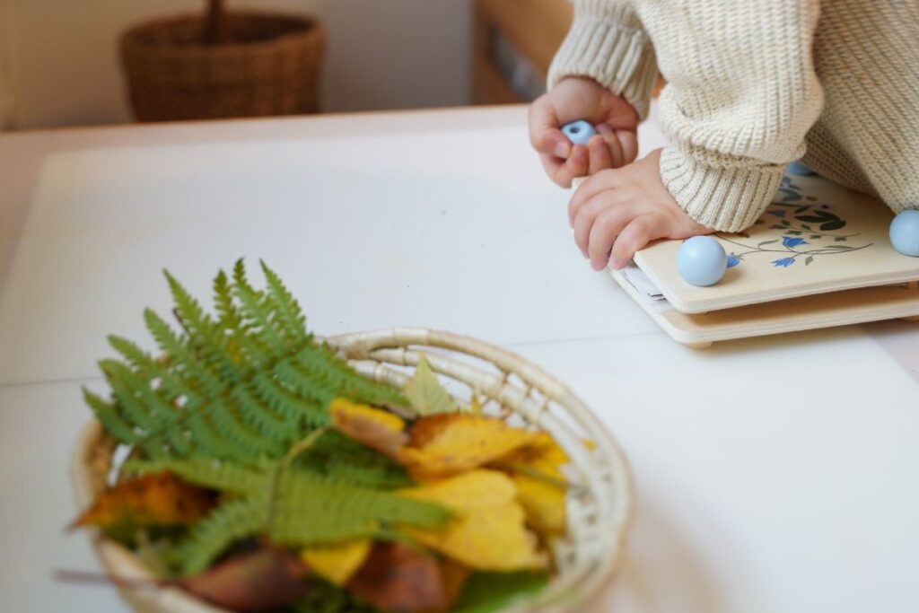 Child tightening the screws on a wooden flower press filled with autumn leaves, with a basket of ferns and yellow leaves nearby.
