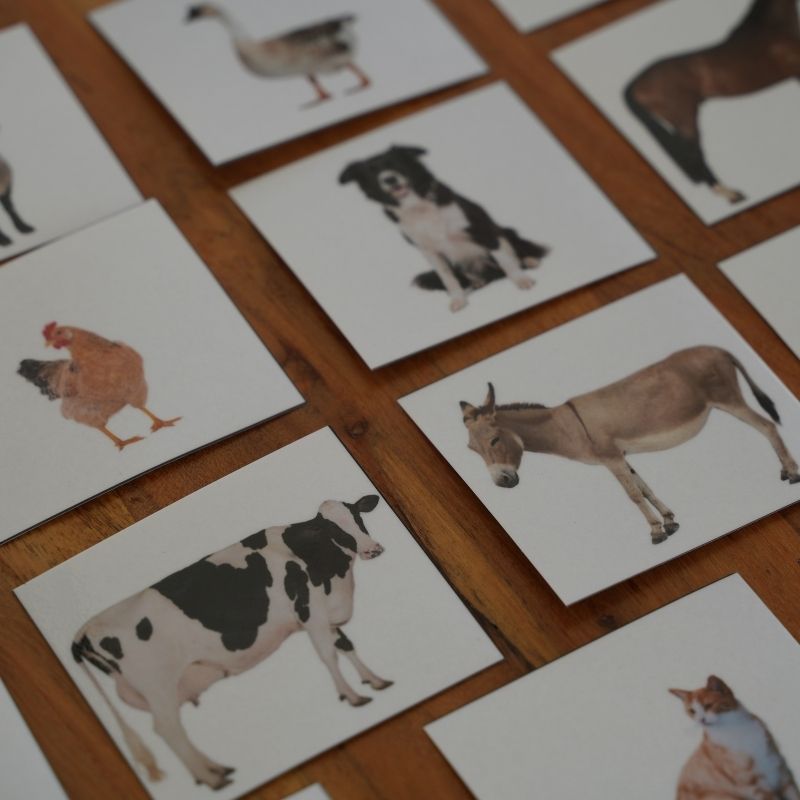 Montessori farm animal picture cards on a wooden table, featuring a cow, donkey, dog, chicken, goose, and cat.