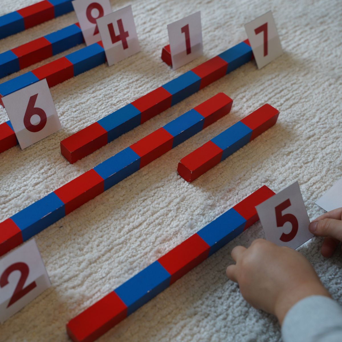 Child matching Montessori number rods and cards on a carpeted surface, using red and blue wooden rods to learn number quantities and sequencing through hands-on Montessori math activity.